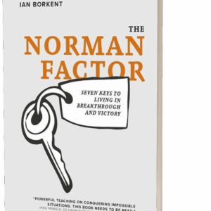 The Norman factor boek cover